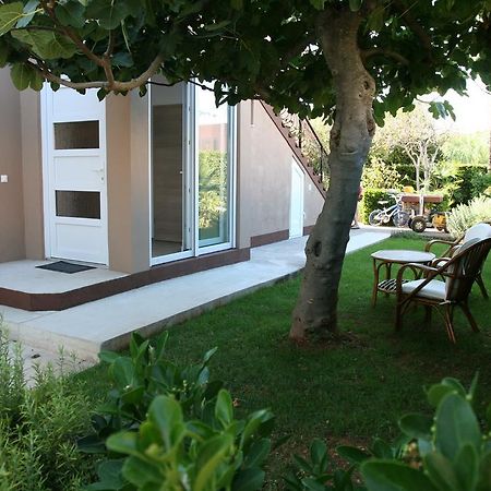 Tiana Apartment Zadar Exterior photo